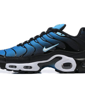 Nike Air Max Plus Aquarius Blue DM0032-402
