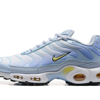 Nike Air Max Plus Daybreak DZ3670-004