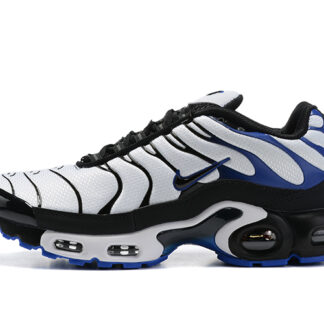 Nike Air Max Plus Persian Violet White DB0682-100