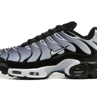 Nike Air Max Plus Black Silver White DM0032-003