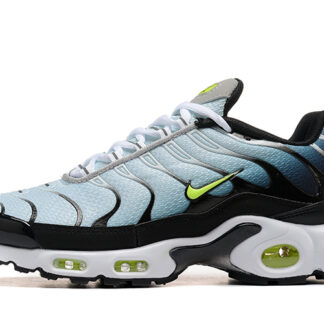 Nike Air Max Plus Black Bright Cactus CD0609-022