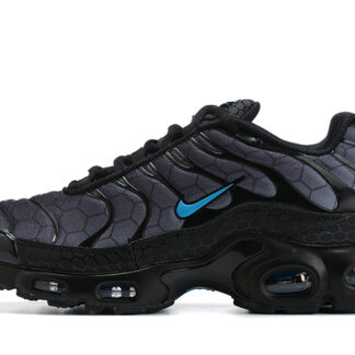 Nike Air Max Plus Black Hex DC1935-001