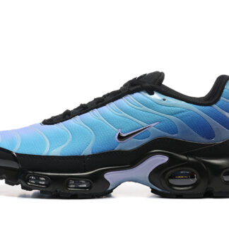 Nike Air Max Plus Black Hydrangeas HV2510-001