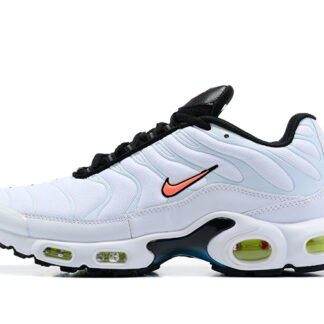 Nike Air Max Plus TN Nerf DQ4696-100