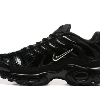 Nike Air Max Plus Black Chrome FJ2591-001