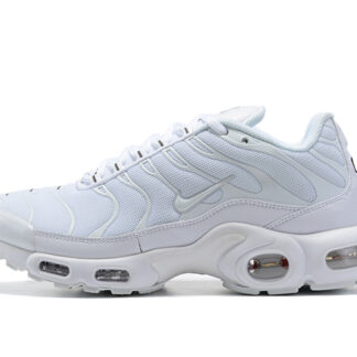 Nike Air Max Plus White Pure Platinum 605112-110/DM2362-100