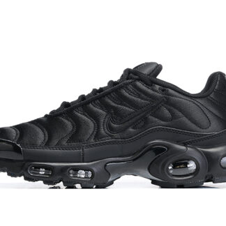 Nike Air Max Plus Black Anthracite Sail FV1169-001
