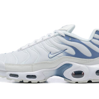 Nike Air Max Plus Ashen Slate DZ3671-104