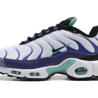 Nike Air Max Plus White Grape Ice DM0032-100