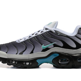 Nike Air Max Plus One Block Down Matte Silver FZ3308-001