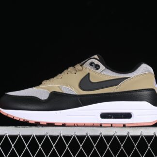 Nike Air Max 1 SC Dark Stucco FB9660-003