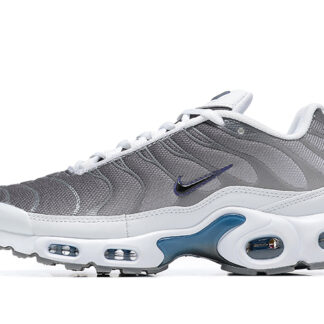 Nike Air Max Plus Smoke Grey Ashen Slate FQ2892-100