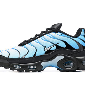 Nike Air Max Plus Blue Gradient FQ0204-010