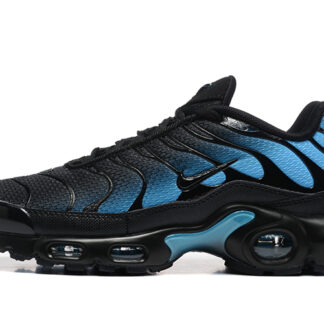 Nike Air Max Plus Black Dusty Cactus DM0032-016